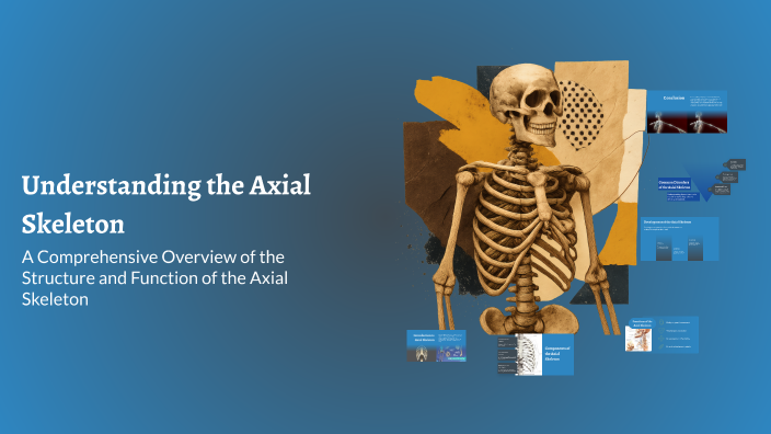 Understanding the Axial Skeleton by Iza Baradziej on Prezi