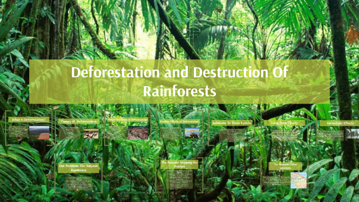 Deforestation and Destruction Of Rainforests by Brendan Singh