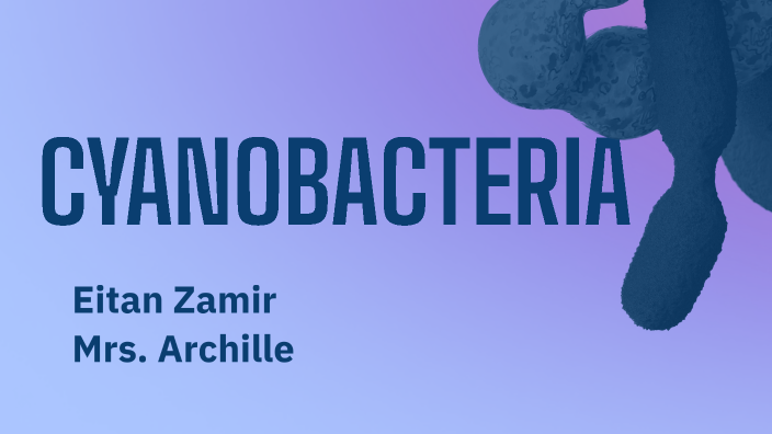 Cyanobacteria by Eitan Zamir on Prezi