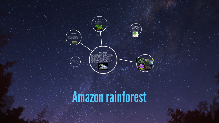 Amazon rainforest by Media Class on Prezi