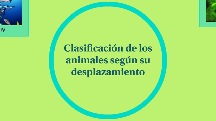 Clasificación de los animales según su desplazamiento by Eugenia Lopez ...