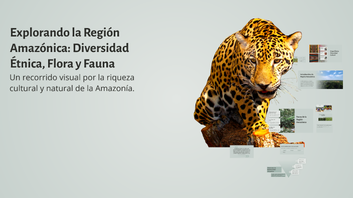 Explorando la Región Amazónica: Diversidad Étnica, Flora y Fauna by Aux ...