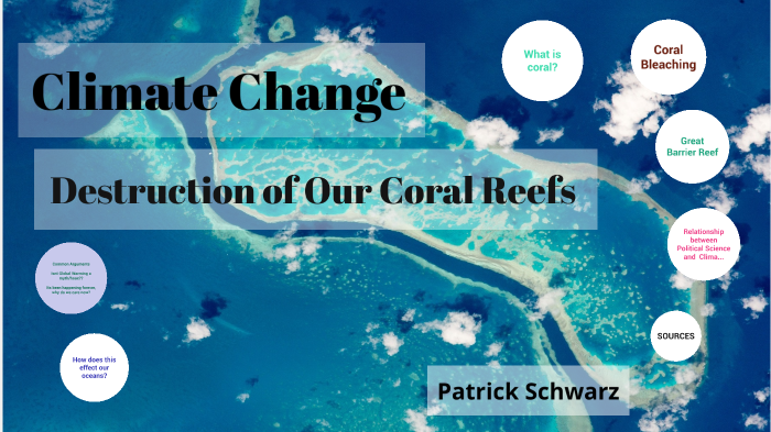 Climate Change: Destruction of Our Coral Reefs by Patrick Schwarz on Prezi