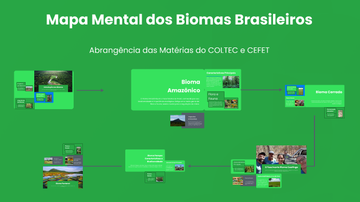 Mapa Mental dos Biomas Brasileiros by Maria Fernanda Amorim on Prezi