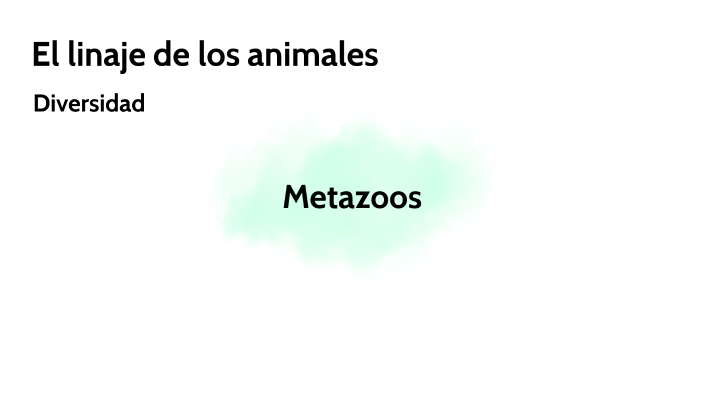 El linaje de los animales: DIVERSIDAD by Mara Gonzalez on Prezi