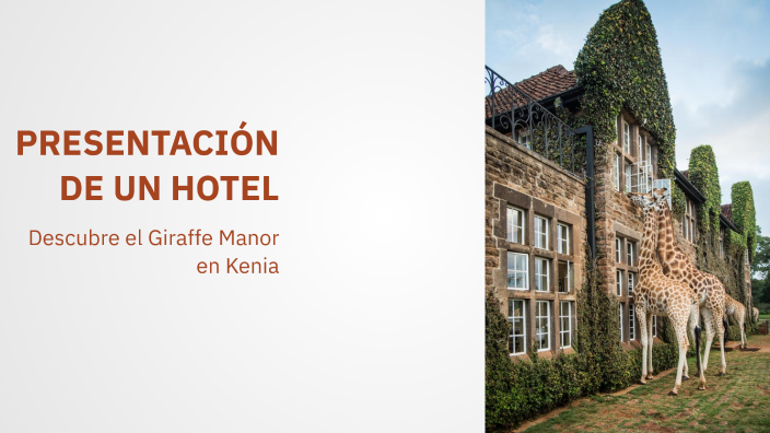 PRESENTACIÓN DE UN HOTEL by viola zani on Prezi