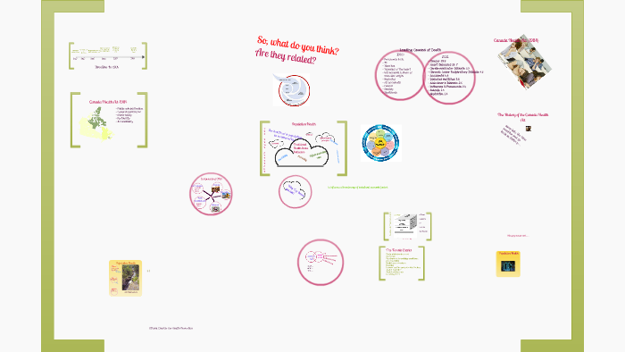 population-health-promotion-model-by-linda-gomez