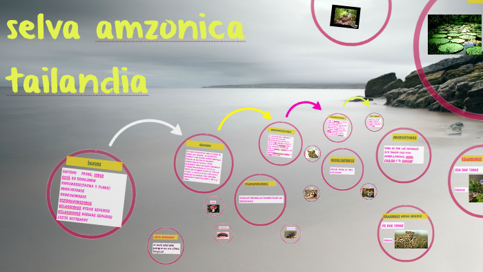 selva amzonica by Teresa Millan Gonzalez on Prezi