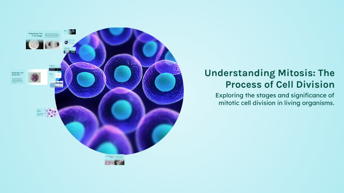 Understanding Mitosis: The Process of Cell Division by John Elizondo on ...
