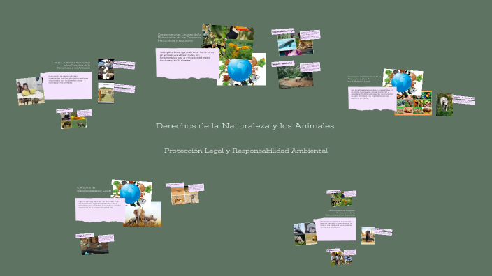 Derechos de la Naturaleza y los Animales by Doraly Chavez on Prezi