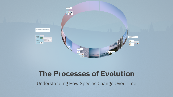 Show Evolution Process The Processes of Evolution by Lacey on Prezi