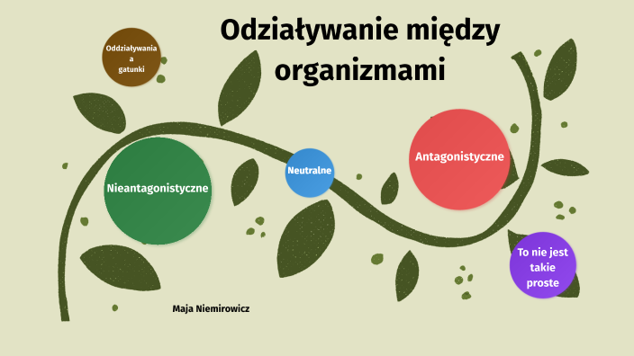 Oddziaływania Między Organizmami By Maja Niemirowicz On Prezi 1522