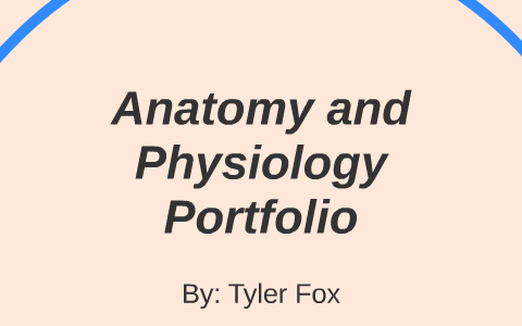 Anatomy And Physiology Portfolio By Tyler Fox On Prezi