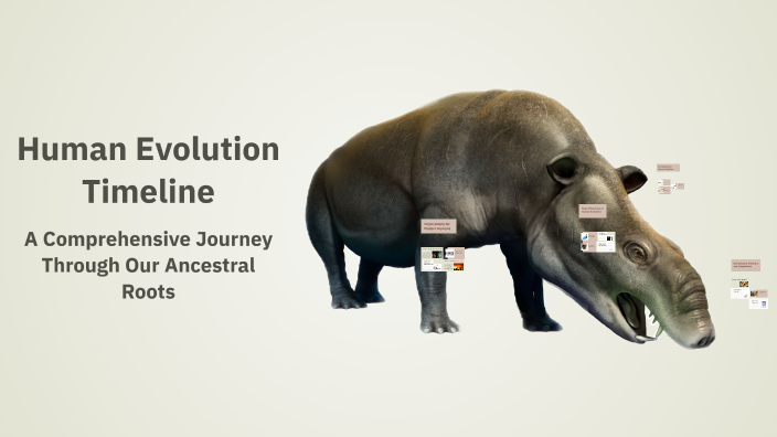 Human Evolution Timeline by Chloe Dance on Prezi