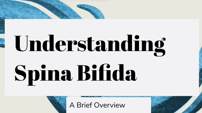 Understanding Spina Bifida By Chloe Erdner On Prezi Understanding Spina Bifida By Chloe Erdner On Prezi