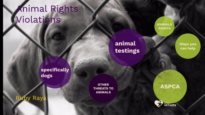 animal rights project by ruby raya on Prezi