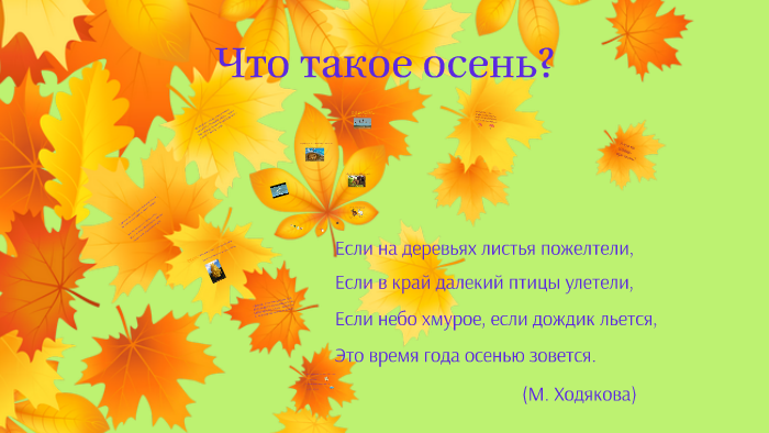 Осенние вопросы. Вопросы про осень. Три вопроса осень. Вопрос от осени.