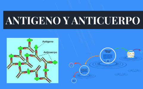 ANTIGENO Y ANTICUERPO By ERIKA CORTES On Prezi Next