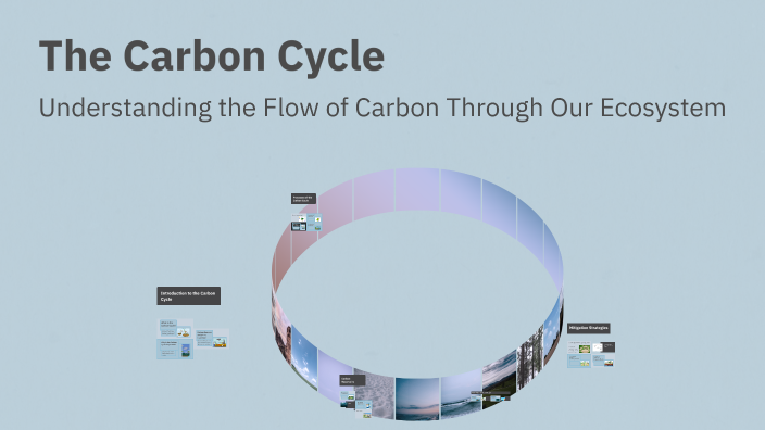The Carbon Cycle by Jarrett Rigney on Prezi