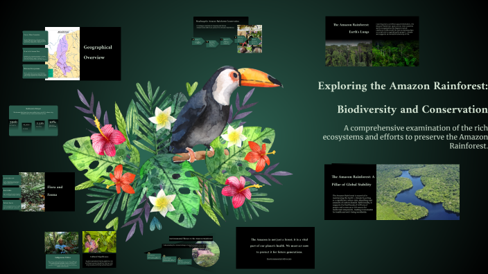 Exploring The Amazon Rainforest Biodiversity And Conservation By Rajan