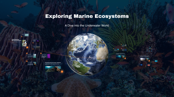 Exploring Marine Ecosystems by Heba fouad on Prezi
