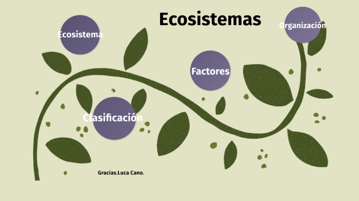 Ecosistema by Luca Cano