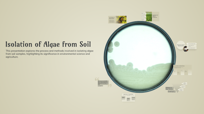 Isolation of Algae from Soil by Haneen Sallam on Prezi