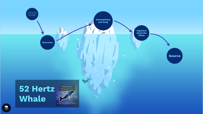 52 Hertz Whale By V Tra On Prezi