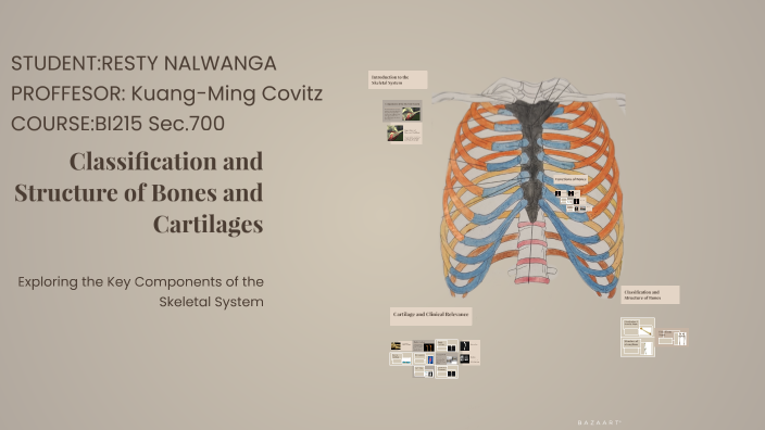 Classification and Structure of Bones and Cartilages by Essy Tendo on Prezi