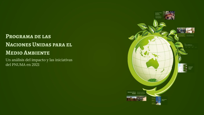 Programa de las Naciones Unidas para el Medio Ambiente by Orozco Colin ...