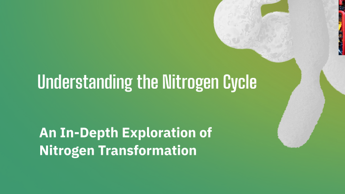 Understanding the Nitrogen Cycle by Hannah Bray on Prezi