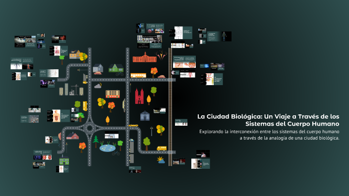 La Ciudad Biológica: Un Viaje a Través de los Sistemas del Cuerpo ...