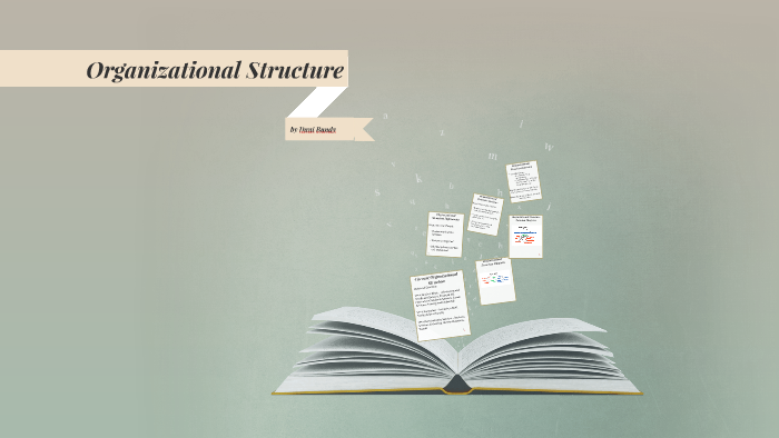 Organizational Structure by dani bundy on Prezi