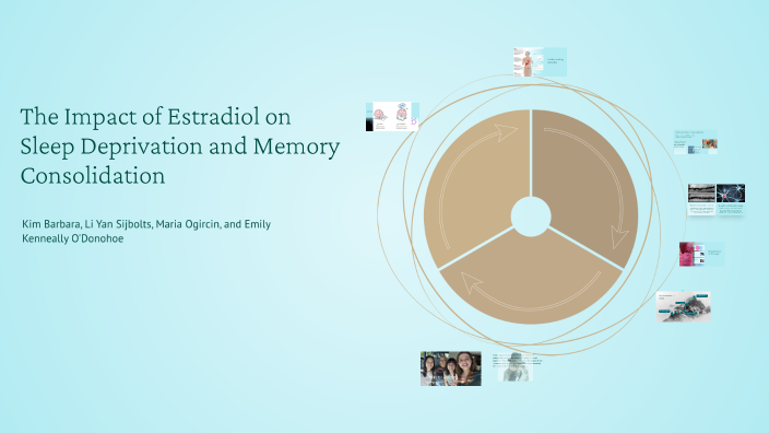The Impact of Estradiol on Sleep and Memory Consolidation by Kim ...