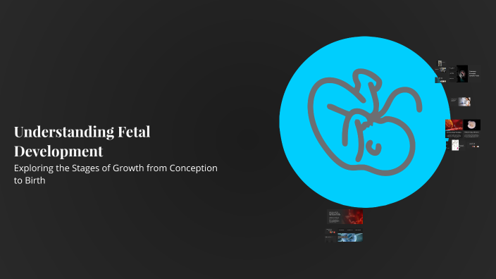 Understanding Fetal Development by Ruth Tariq on Prezi