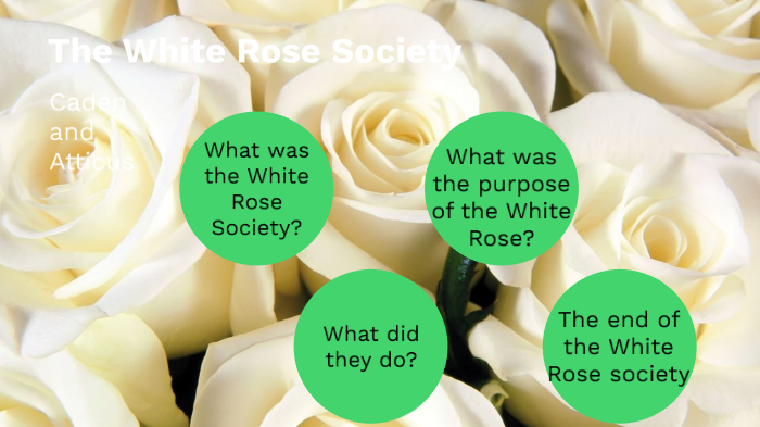 the White Rose Society by CandA ....... on Prezi