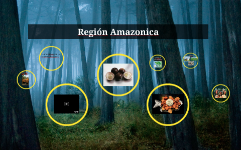 Región Amazonica by Lizeth Peñaloza on Prezi