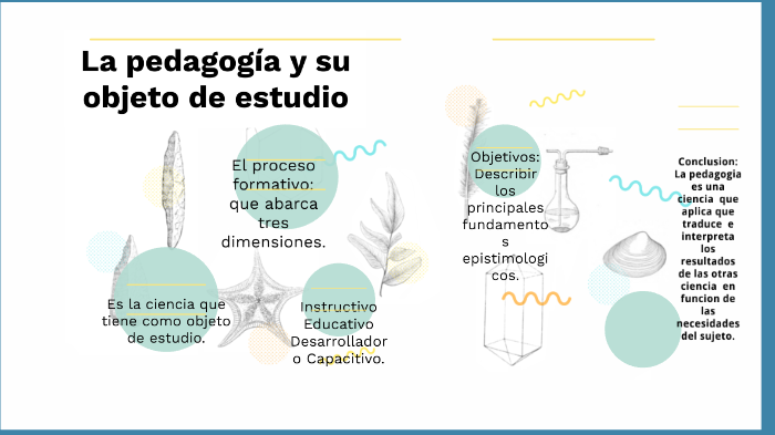El Objeto De Estudio De La Pedagogía