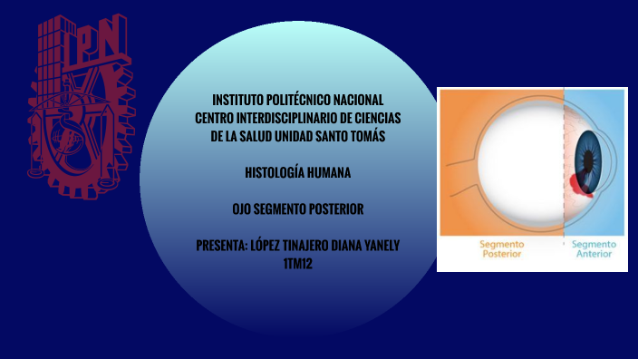 OJO SEGMENTO POSTERIOR by Diana Yanely Lopez Tinajero on Prezi