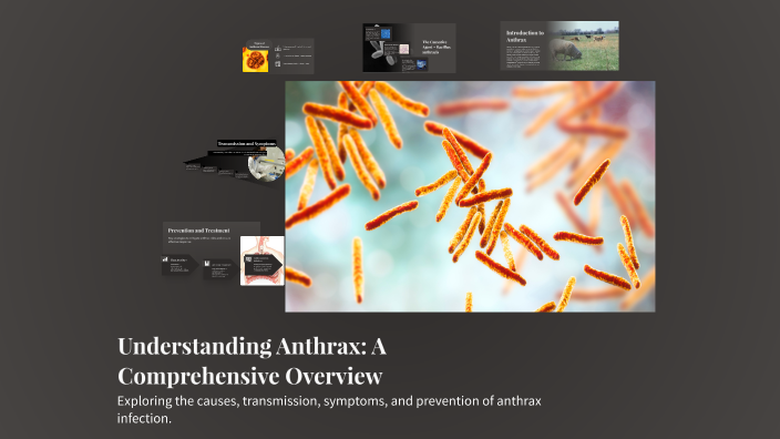 Understanding Anthrax: A Comprehensive Overview by Jana on Prezi
