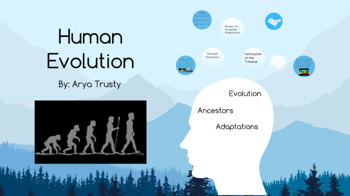 Human Evolution by Arya Trusty on Prezi