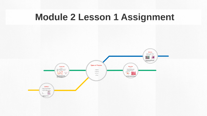 Module 2 Lesson 1 Assignment by Anthony Sanchez on Prezi