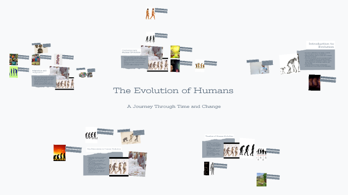 The Evolution of Humans by Shrey Patel on Prezi