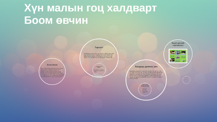 Хүн малын гоц халдварт Боом өвчин by batbaatar bukhbat on Prezi
