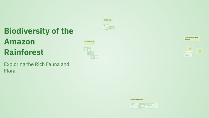 Biodiversity Of The Amazon Rainforest By Ekindbg On Prezi