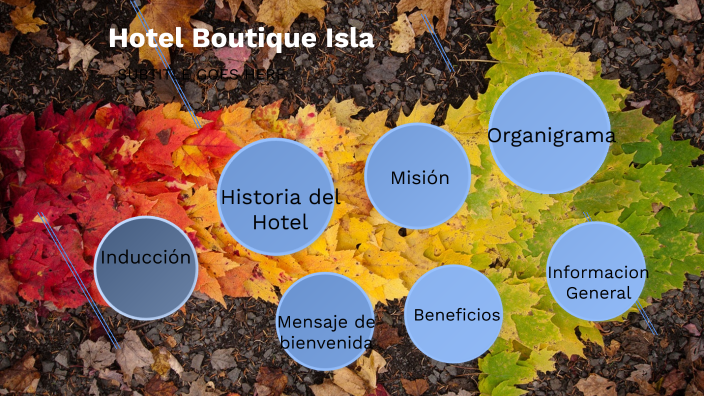 PRÁCTICAS DE PREZI PRESENTACIÓN DEL HOTEL by Juana Alcira Raxon Felipe ...