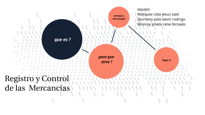 Registro Y Control De Las Operaciones De Mercancías