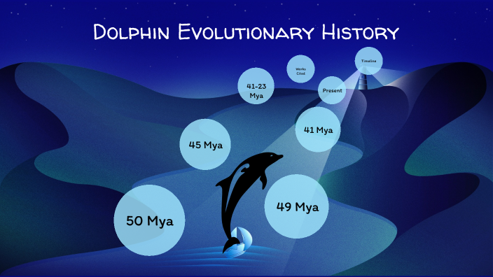 Dolphin Evolution by Yutong Minerva Cao