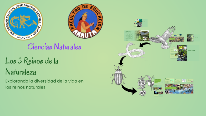 Los 5 Reinos de la Naturaleza by Santos Rubina on Prezi