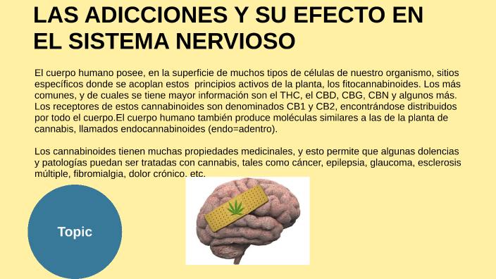 LAS ADICCIONES Y SU EFECTO EN EL SISTEMA NERVIOSO by nacha guiñazu on Prezi